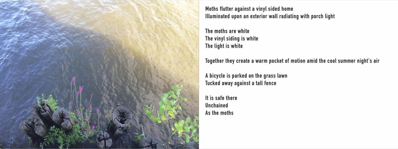 Untitled Untitled